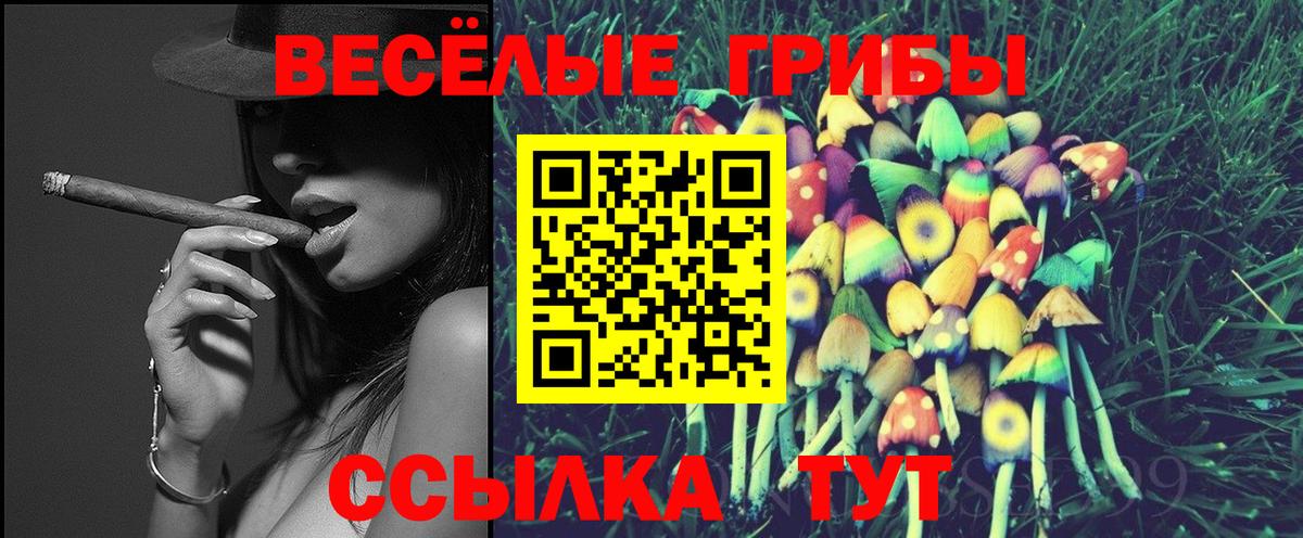 Нижний Тагил  наркота  Вход с VPN  Псилоцибиновые грибы Psilocybine cubensis  Галлюциногенные грибы Cubensis 